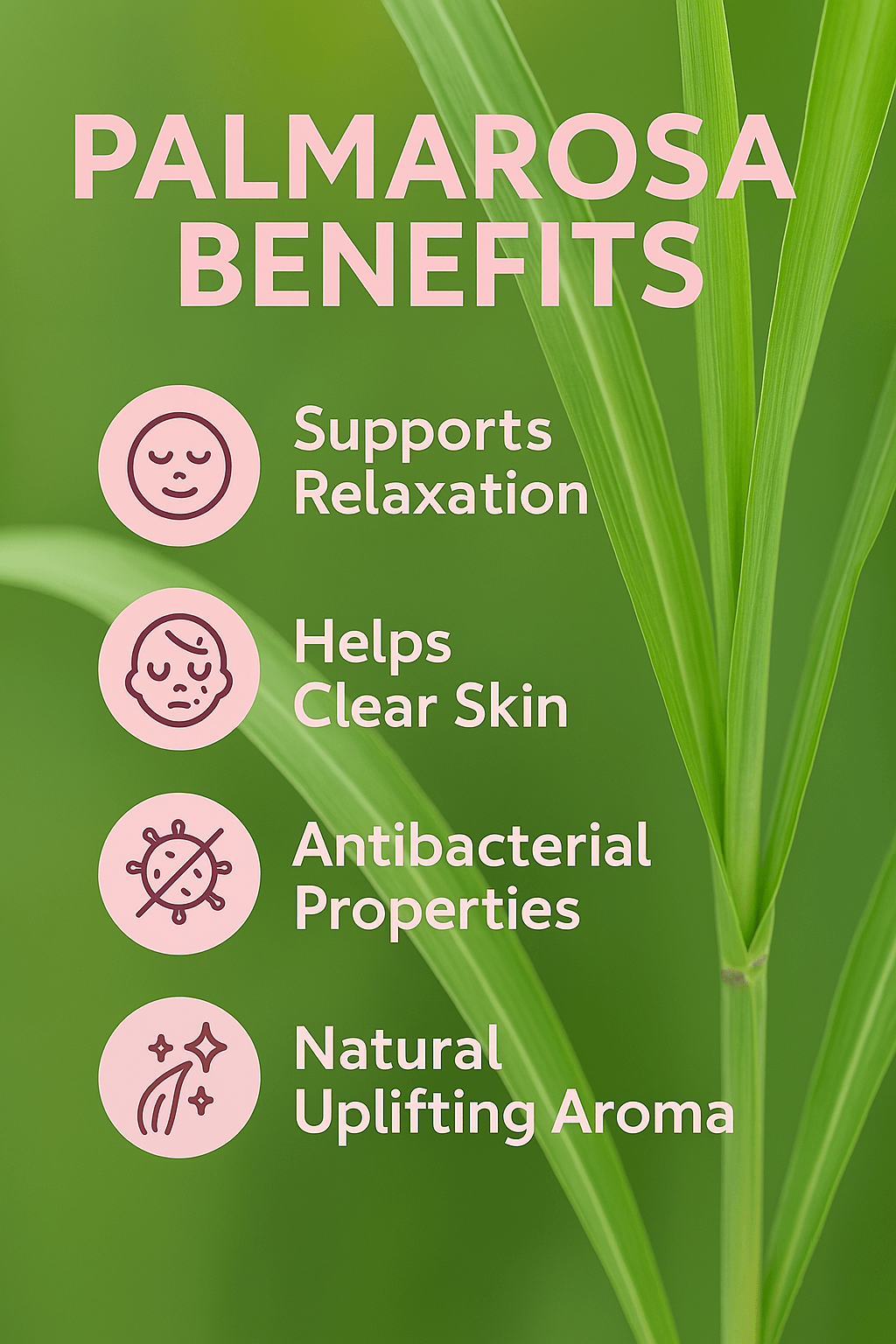 Palma Rosa Pure Essential Oil - Delune