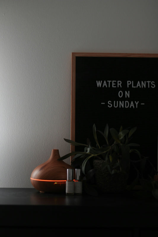 a plant in a pot next to a sign