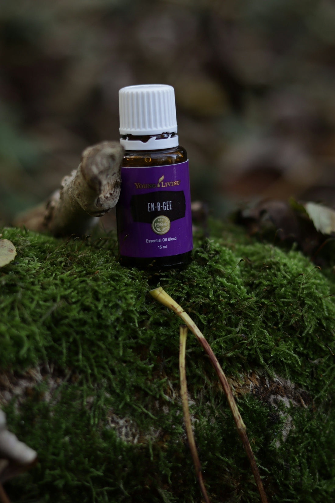 A bottle of essential oil sitting on a mossy surface