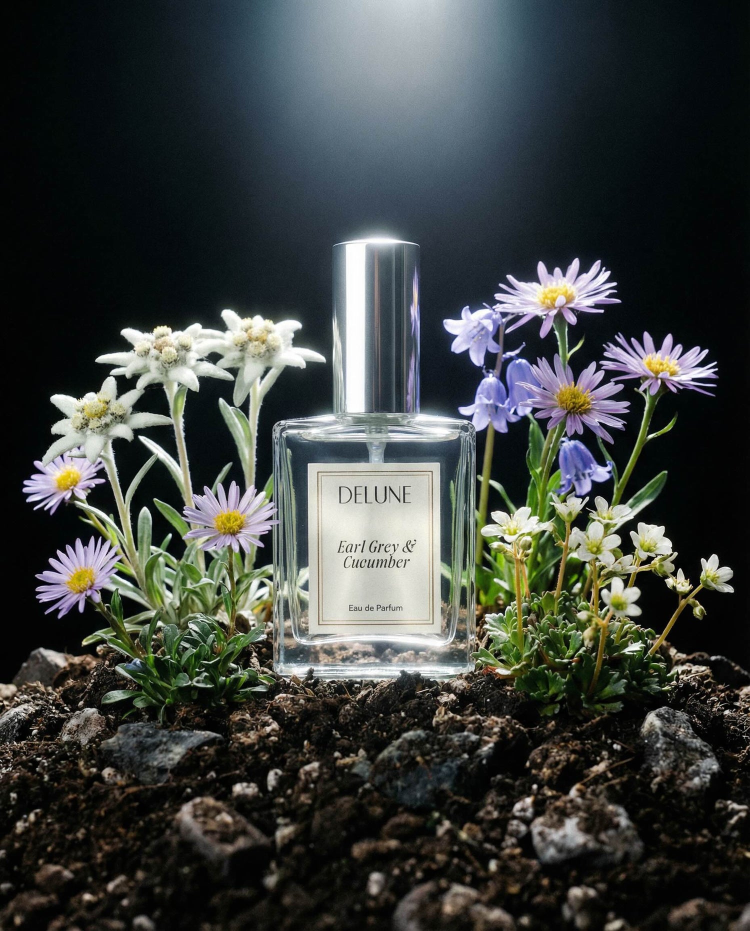 Fine Fragrance - Delune 
