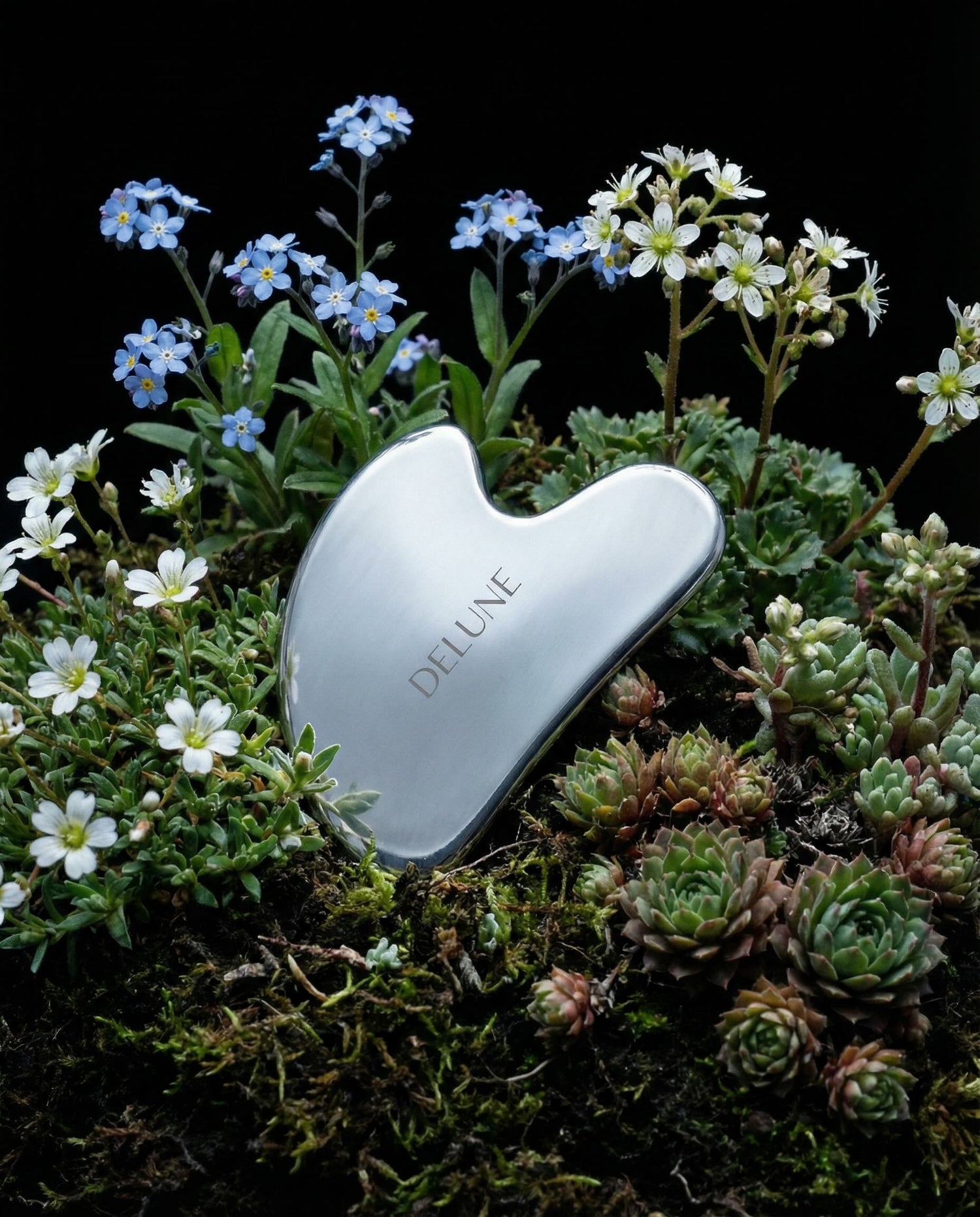 Lifestyle Beauty - Delune 