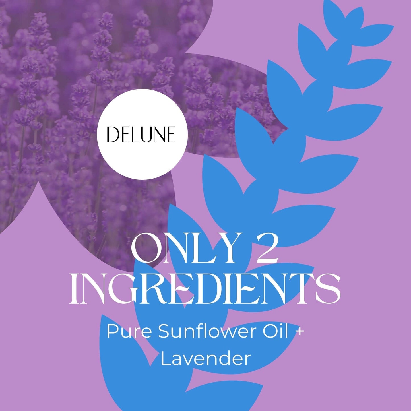Lavender Body Oil - Delune 