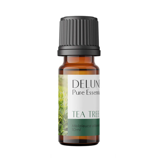 Tea Tree Pure Essential Oil bottle for acne treatment, inflammation relief, and immune support.